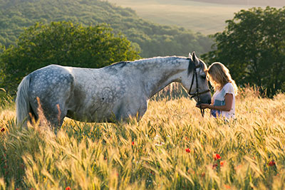 mindfulness in equine assisted psythotherapy girl and horse in beautiful pasture